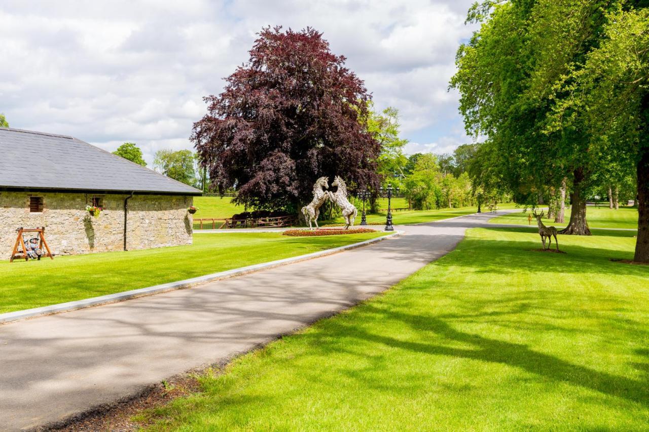 Queens Brook Apartment Navan Buitenkant foto