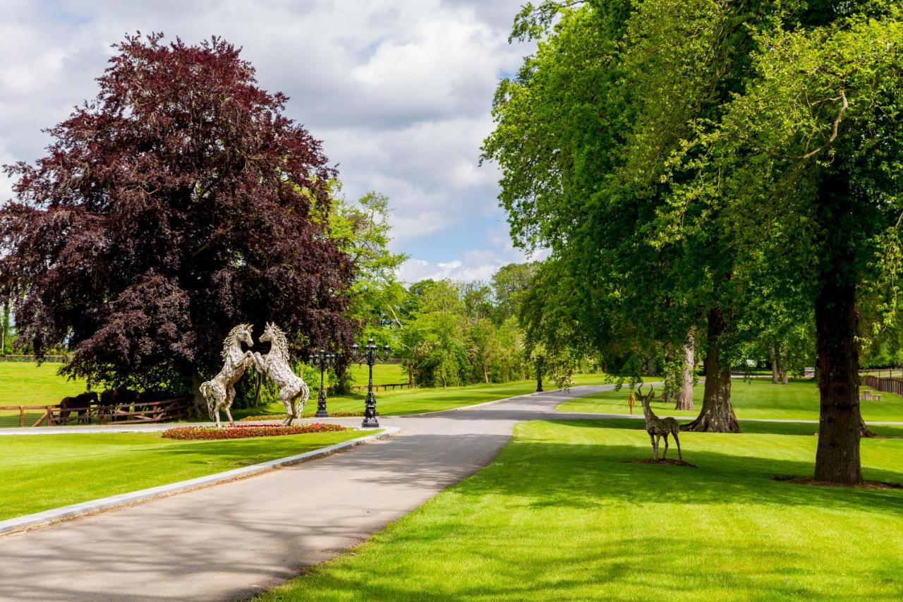 Queens Brook Apartment Navan Buitenkant foto